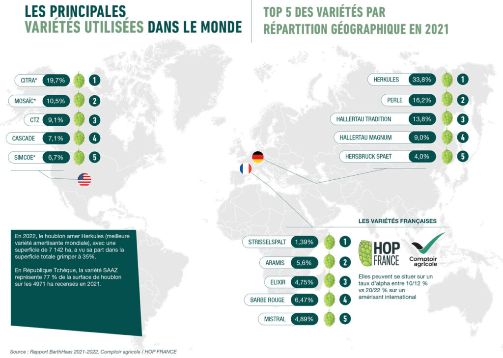 production de houblon en France