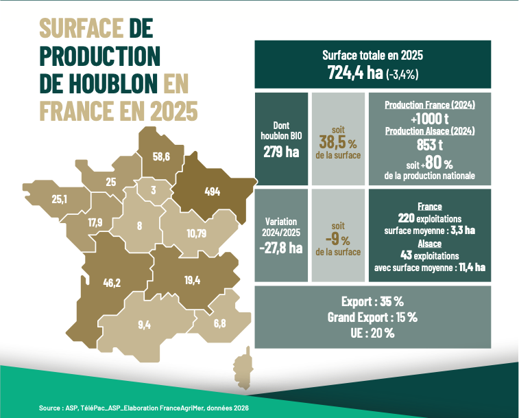 Infographie chiffre clés Houblon 2025