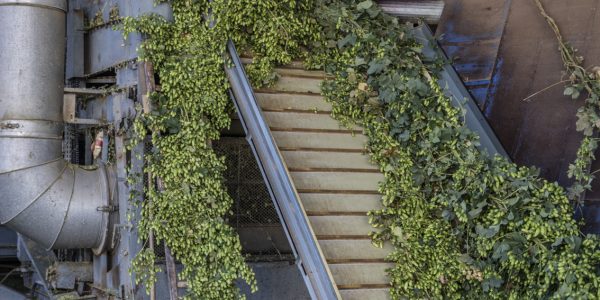 bloc-photo-Interhoublon